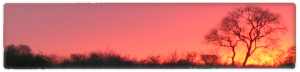 Botswana sunrise