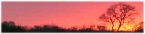 Botswana sunrise