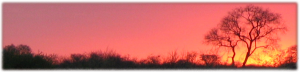 Botswana Sunrise