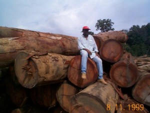 azobe logs
