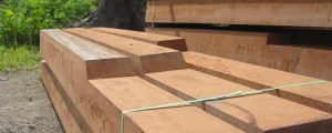 dapped and tapered azobe
